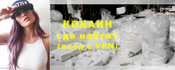гидра Богданович
