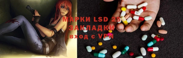 гидра Богданович