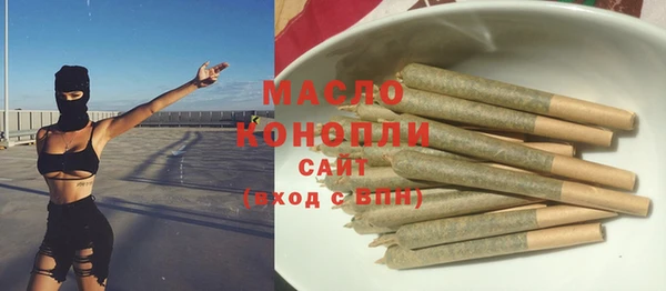 гидра Богданович