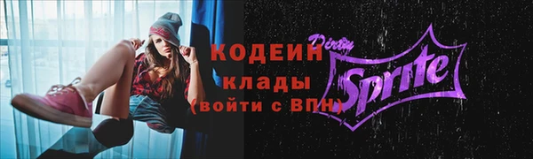 гидра Богданович