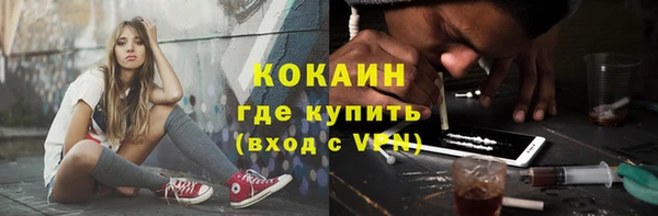 гидра Богданович