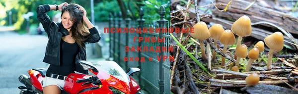 мдма Богородицк