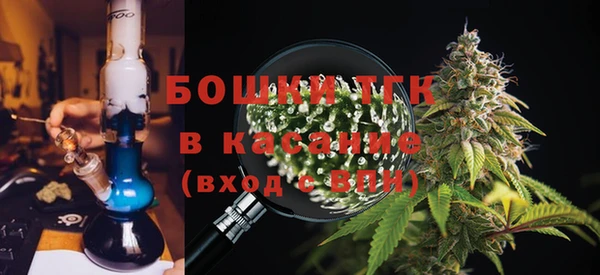 гидра Богданович