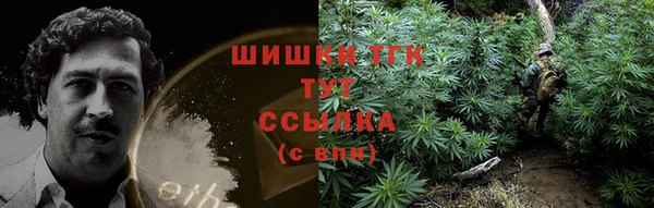 гидра Богданович