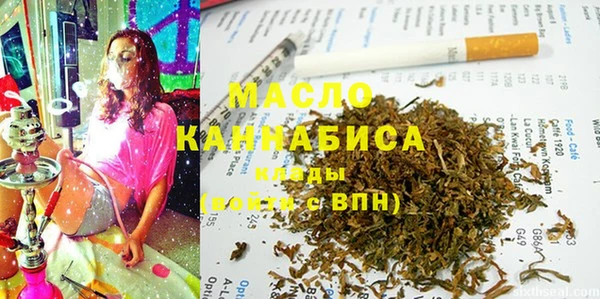 гидра Богданович